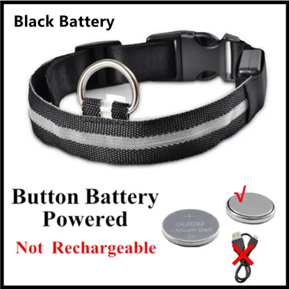 Illuminated Dog Collar with LED Technology