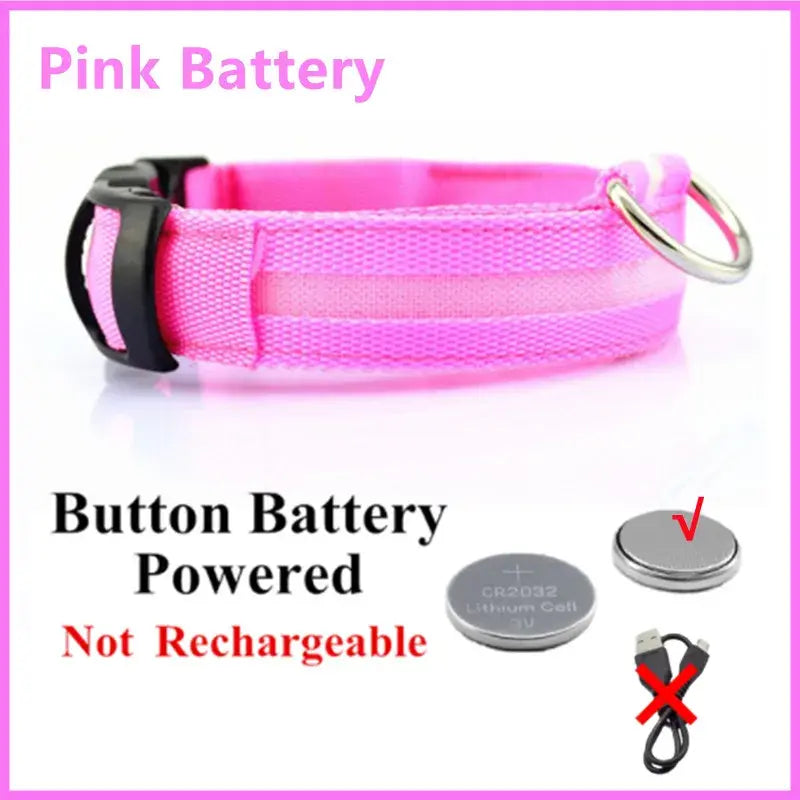 Illuminated Dog Collar with LED Technology