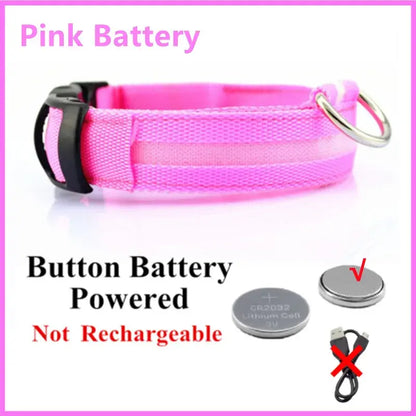 Illuminated Dog Collar with LED Technology