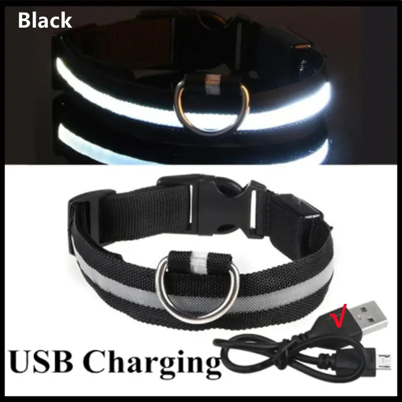 Illuminated Dog Collar with LED Technology