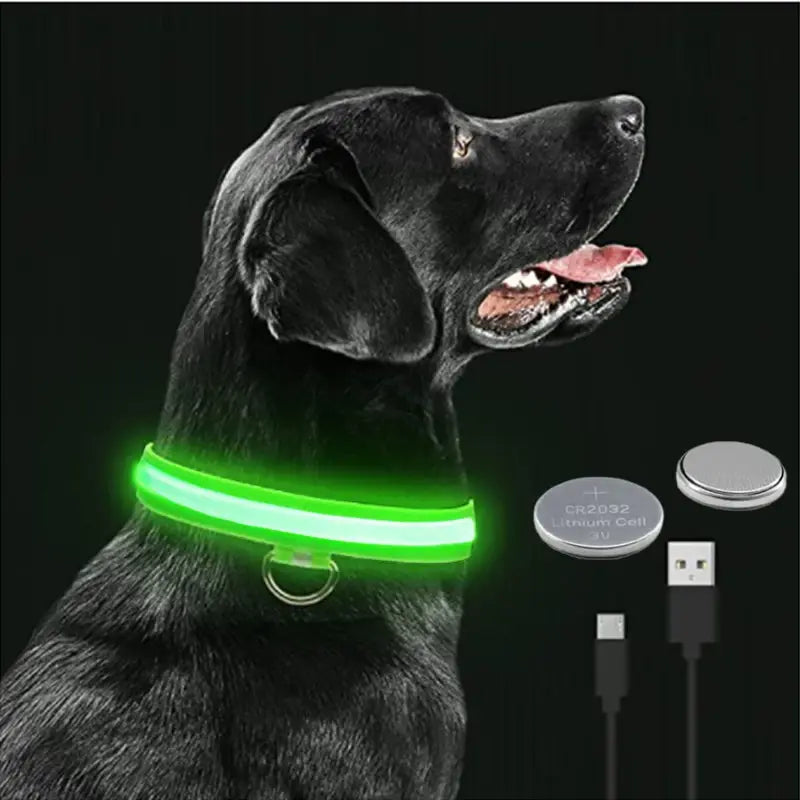 Illuminated Dog Collar with LED Technology
