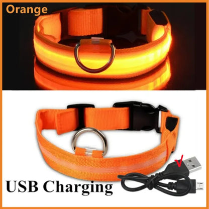 Illuminated Dog Collar with LED Technology