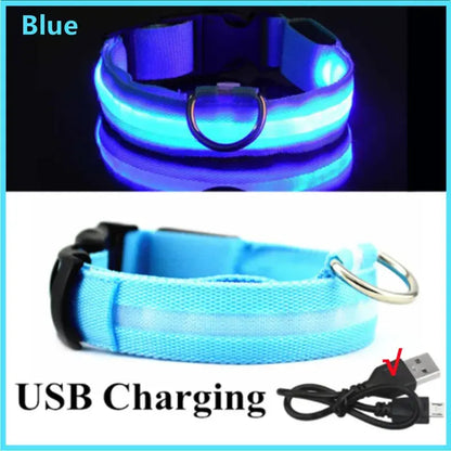 Illuminated Dog Collar with LED Technology
