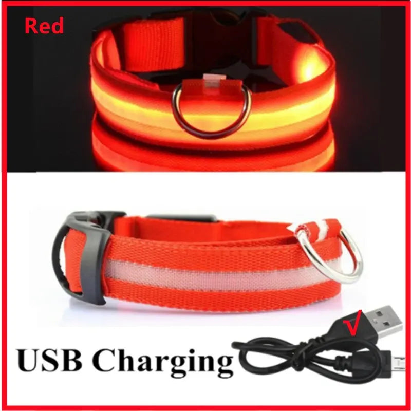 Illuminated Dog Collar with LED Technology