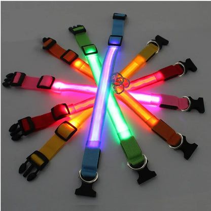 Illuminated Dog Collar with LED Technology