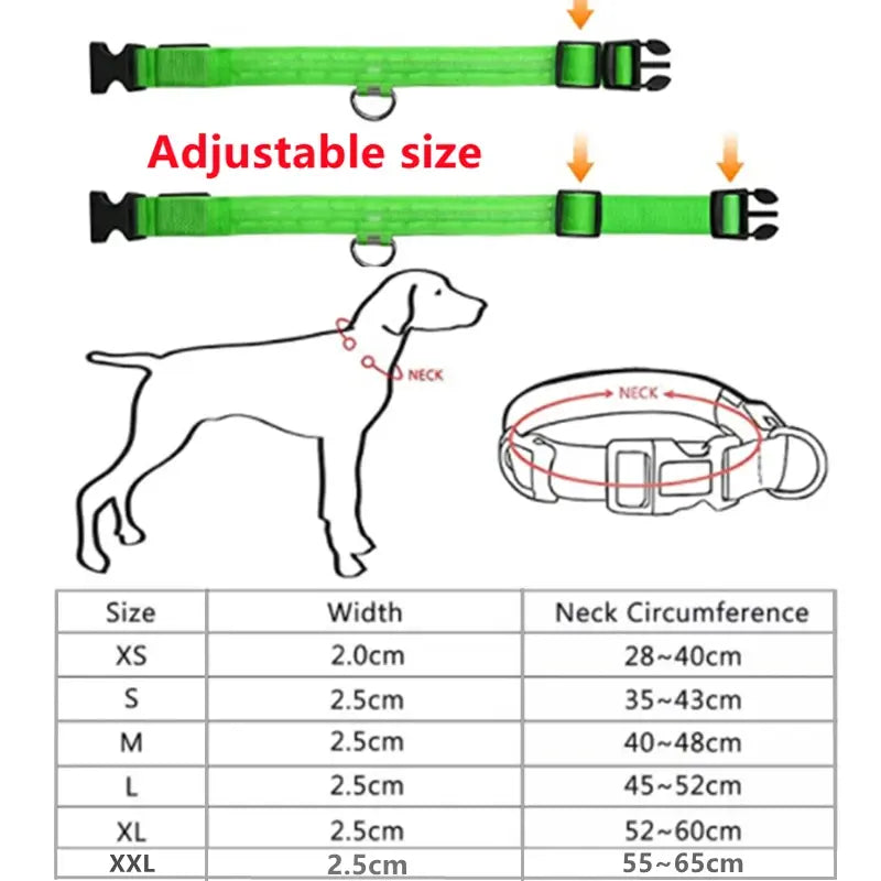 Illuminated Dog Collar with LED Technology
