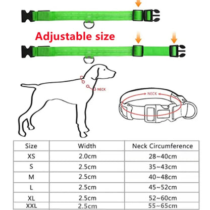Illuminated Dog Collar with LED Technology