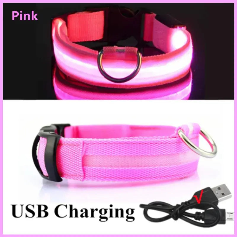 Illuminated Dog Collar with LED Technology