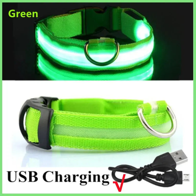Illuminated Dog Collar with LED Technology
