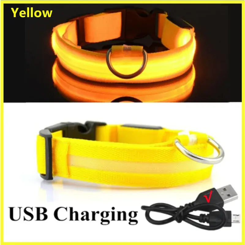 Illuminated Dog Collar with LED Technology