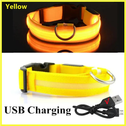 Illuminated Dog Collar with LED Technology