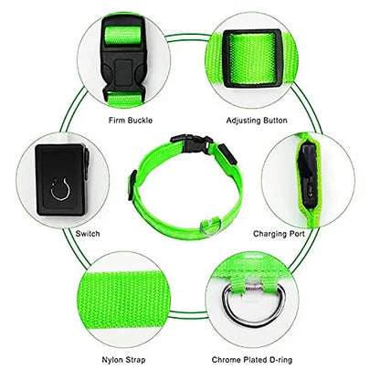 Illuminated Dog Collar with LED Technology