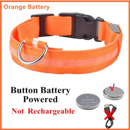 Illuminated Dog Collar with LED Technology