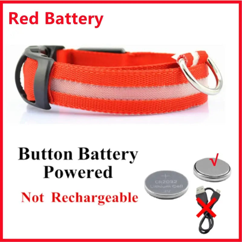 Illuminated Dog Collar with LED Technology