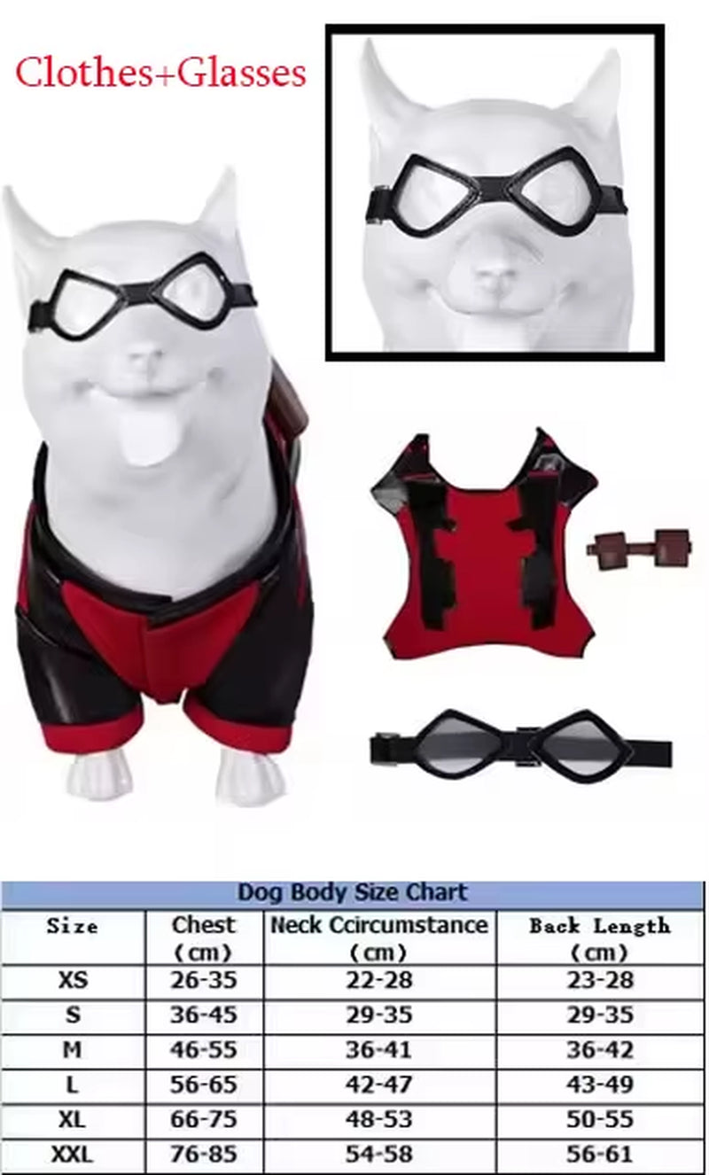 Dog Pool Costume for Halloween - Red Outfit with Goggles for Small and Large Dogs