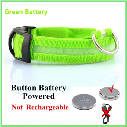 Illuminated Dog Collar with LED Technology