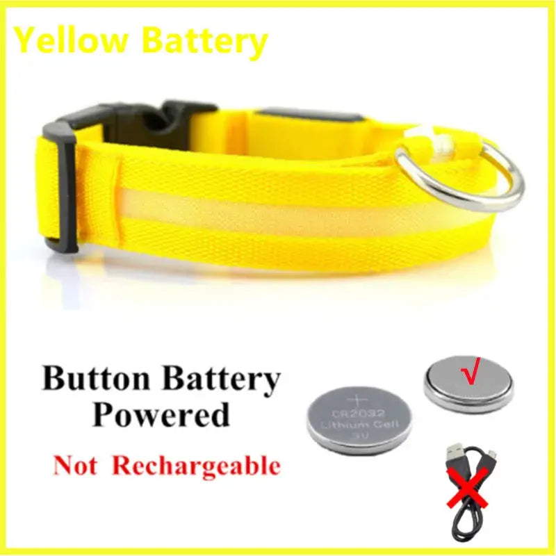 Illuminated Dog Collar with LED Technology