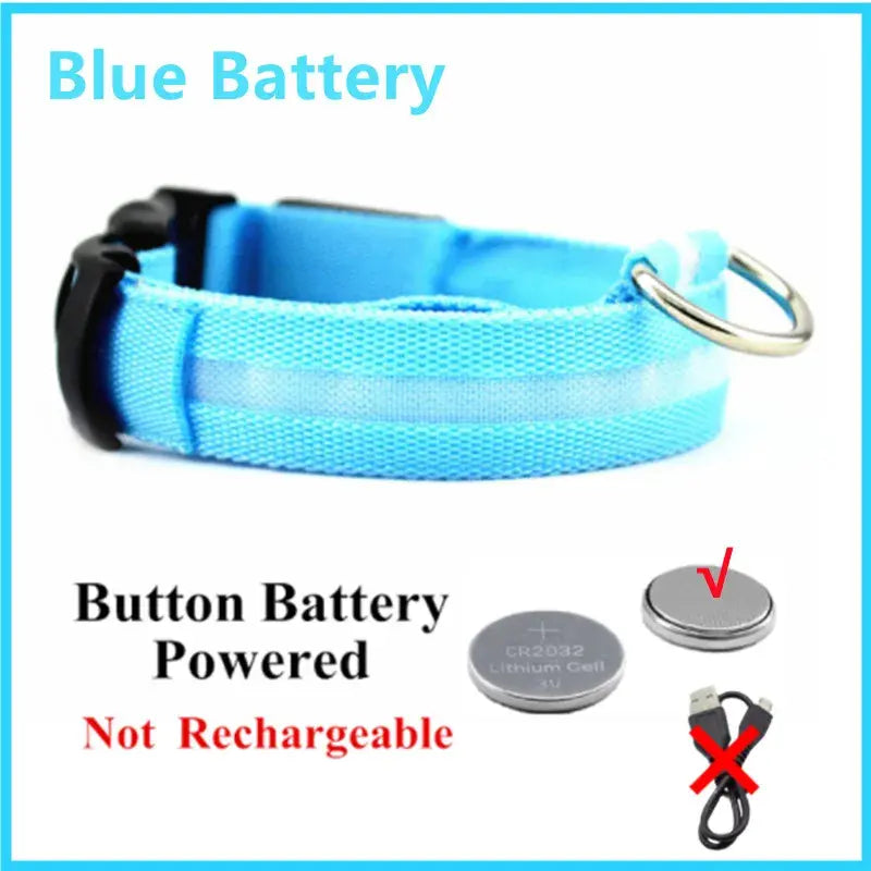 Illuminated Dog Collar with LED Technology
