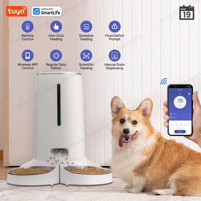 Automatic WiFi Cat Feeder for Two Cats, 4L Food Dispenser with App Control, Dual Stainless Steel Bowls, and Low Food Alerts