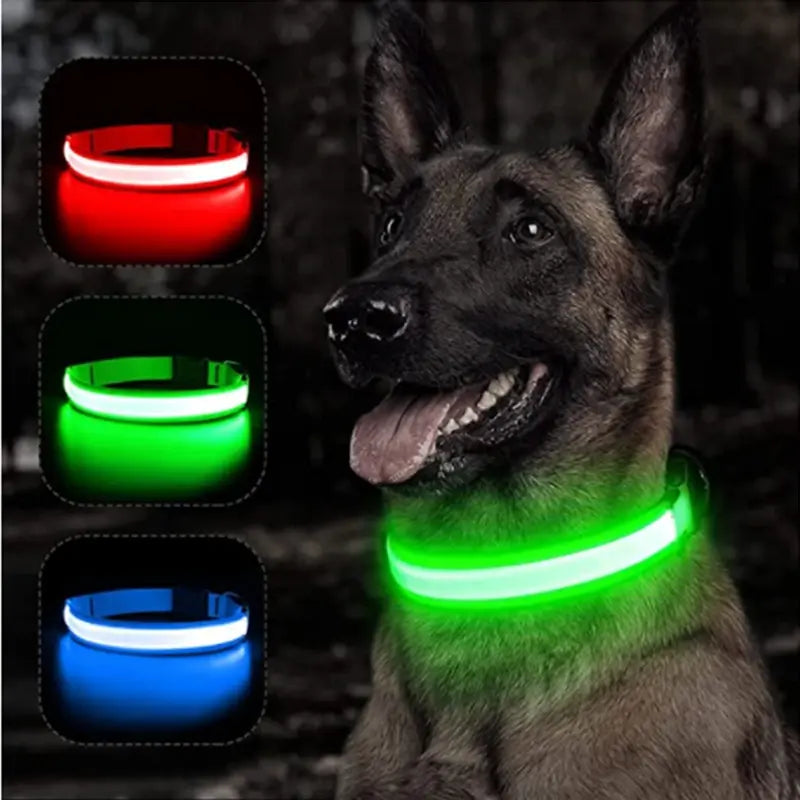 Illuminated Dog Collar with LED Technology